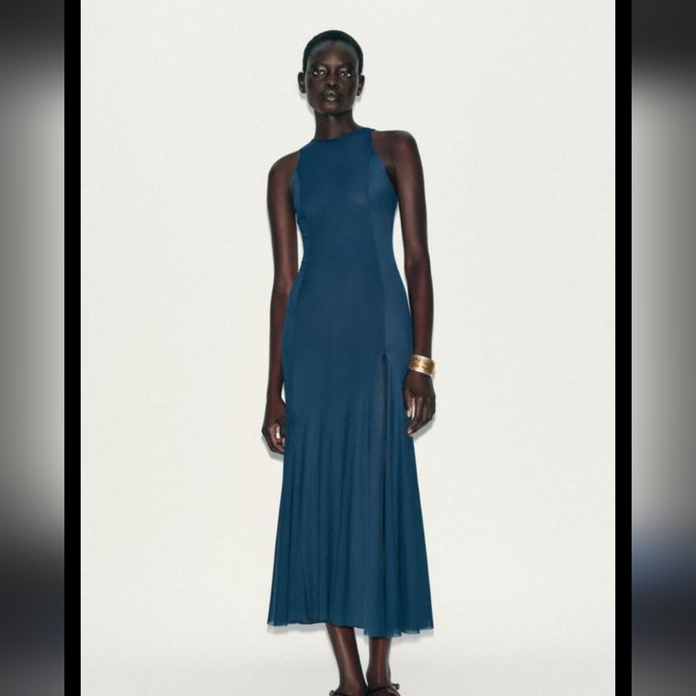 Zara Long Tulle Godet Dress
